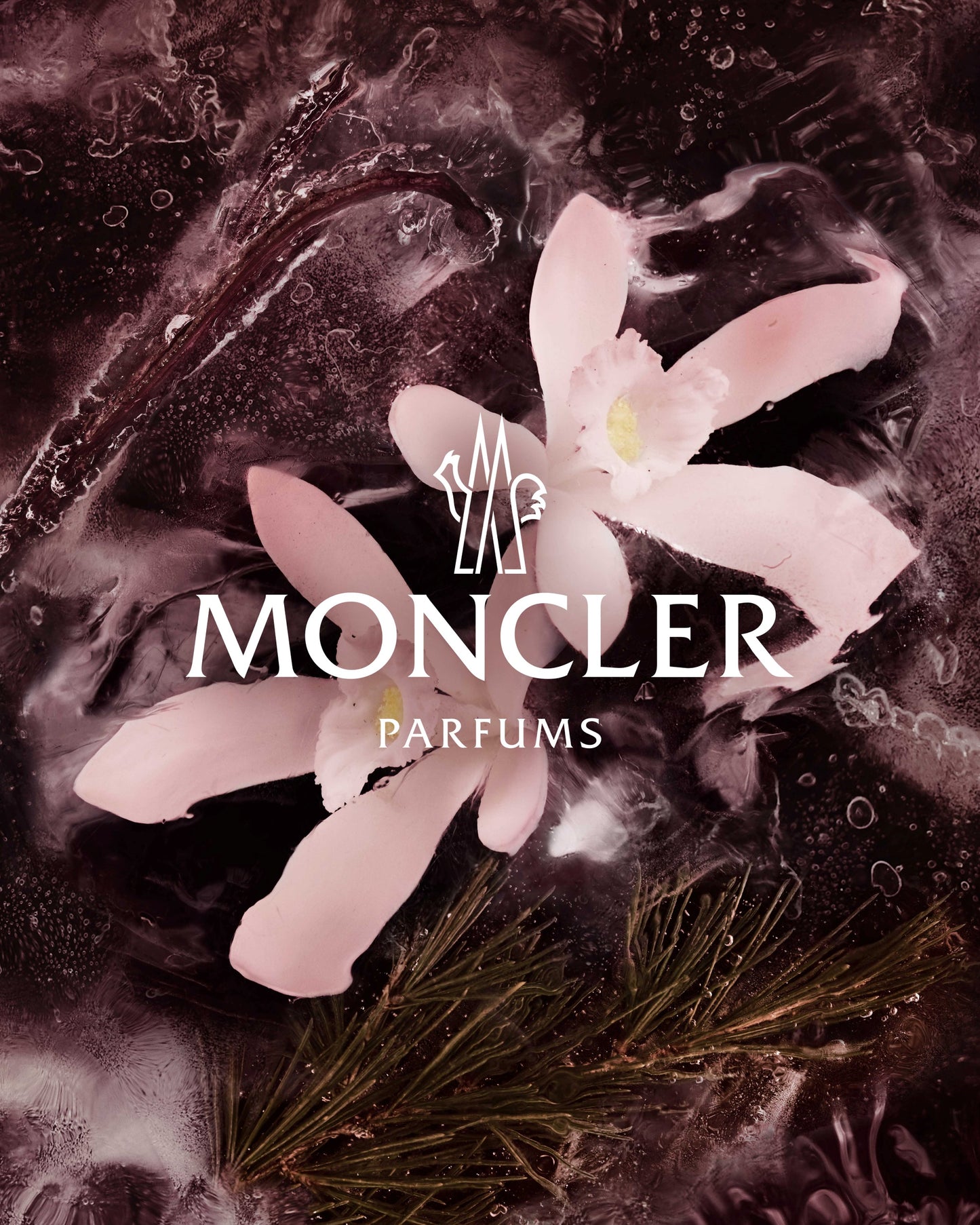 Moncler Collection Haute Montagne Edp 200Ml