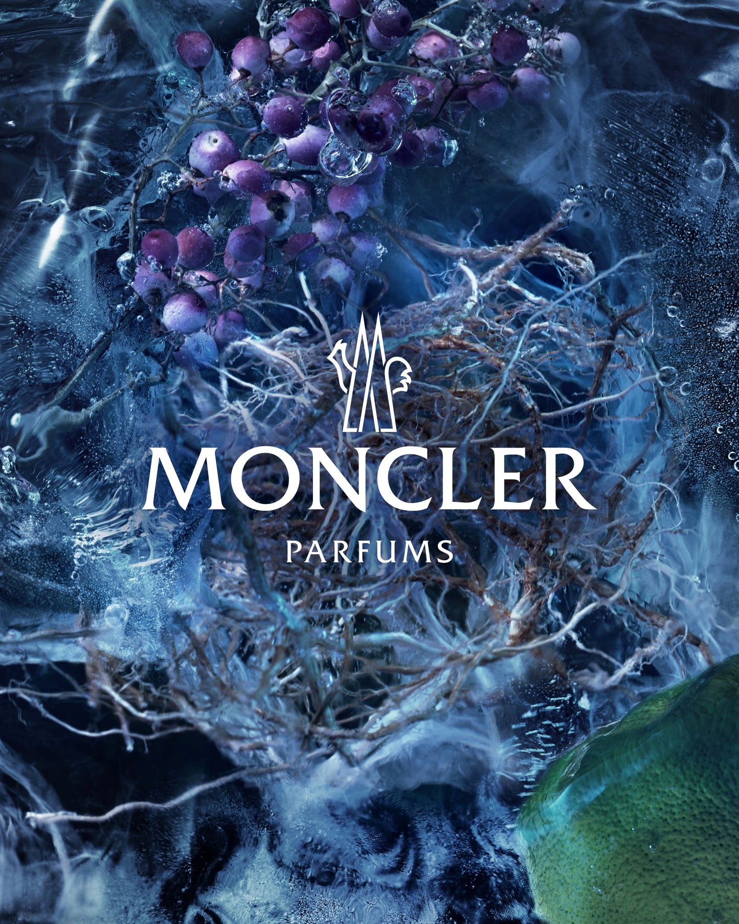 Moncler Collection Le Bois Glace Edp 200Ml