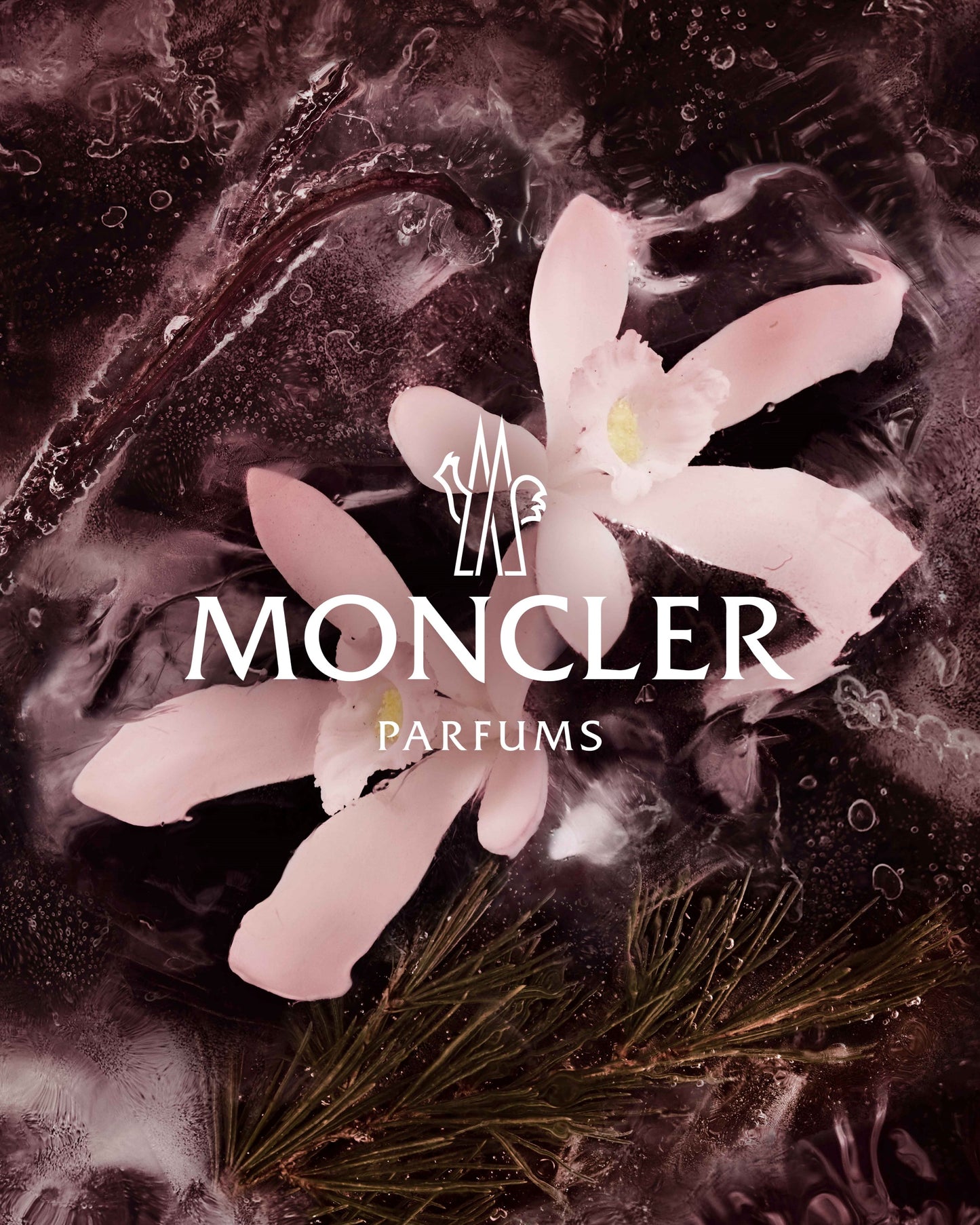 Moncler Collection Haute Montagne Edp 100Ml