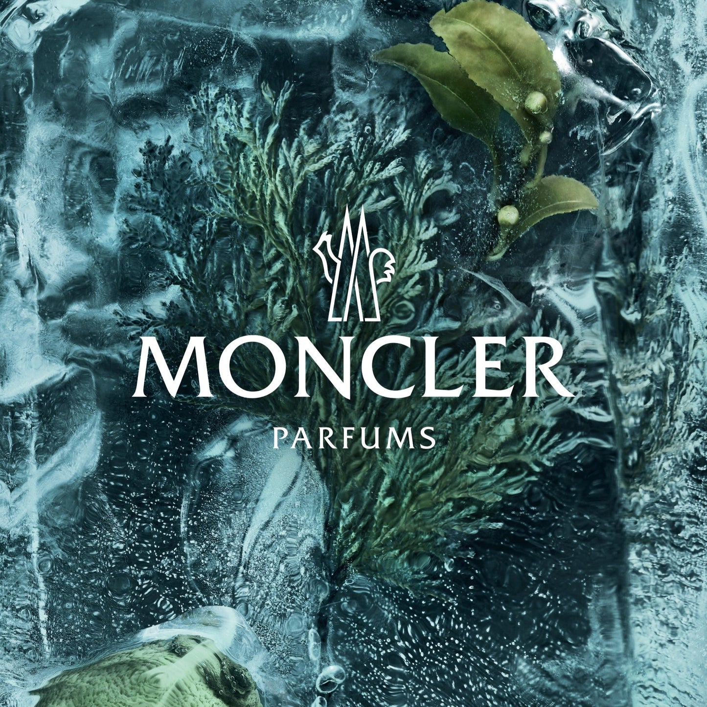 Moncler Collection La Cordee Edp 100Ml