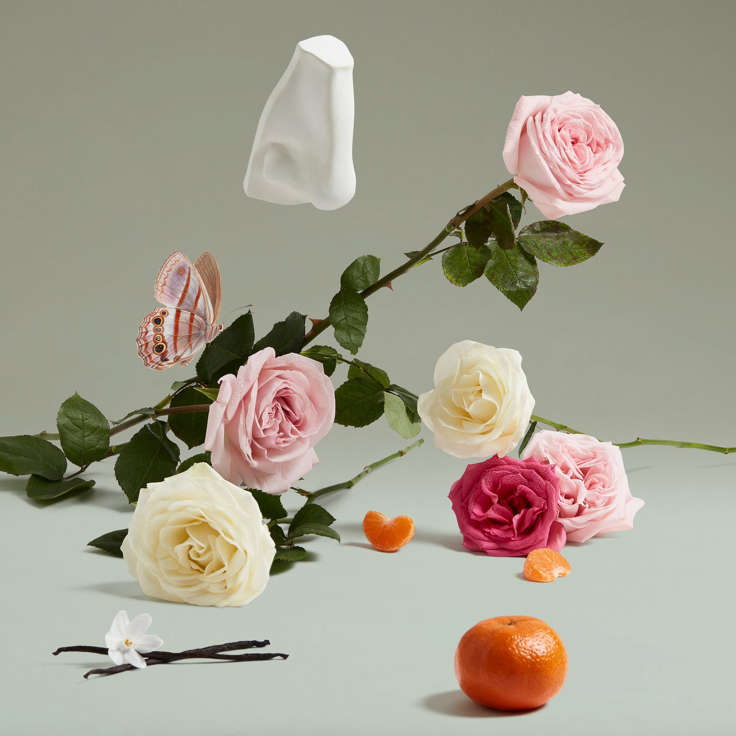 Penhaligons The Coveted Duchess Rose 75 Ml