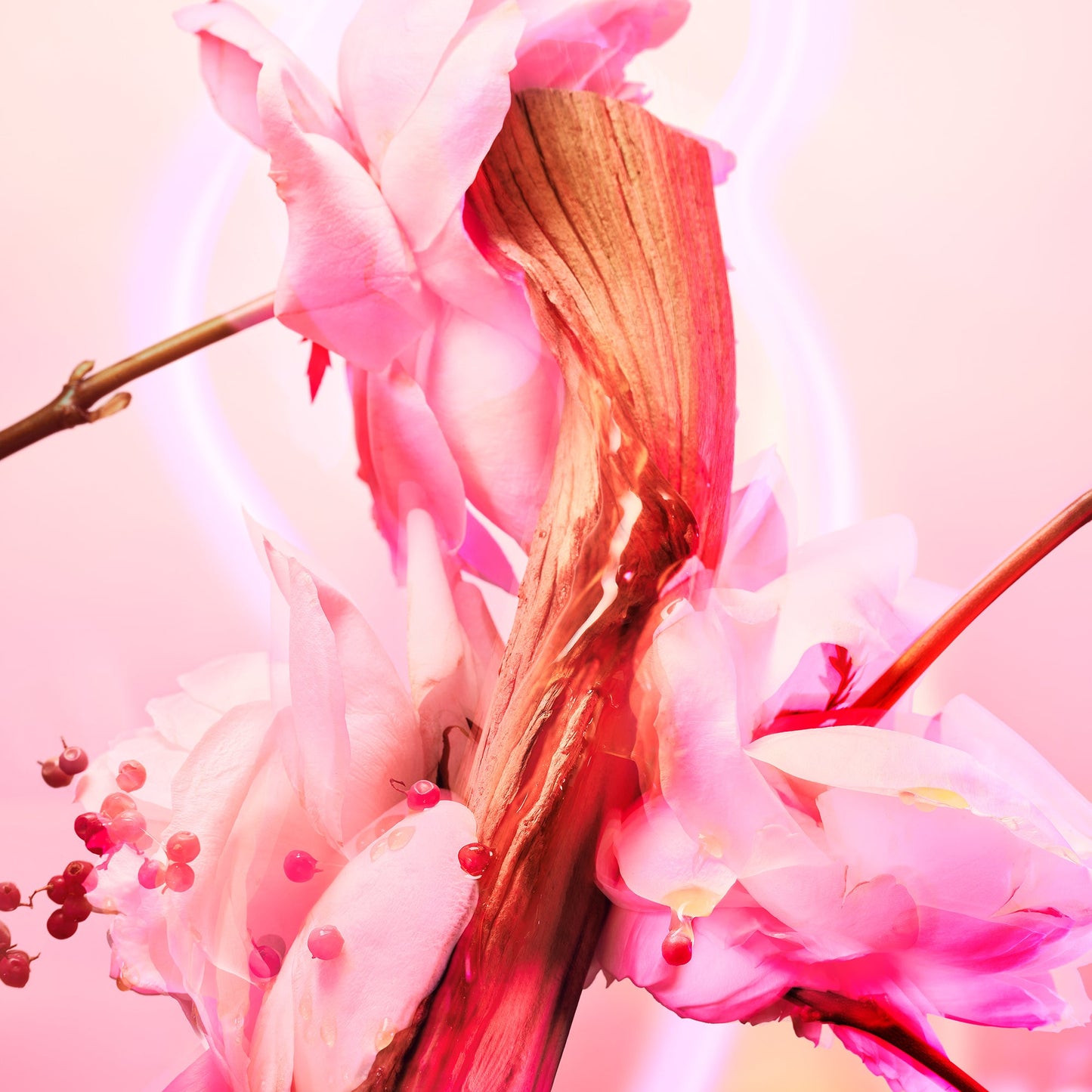 Charlotte Tilbury Fragrance - 100Ml - Love Frequency