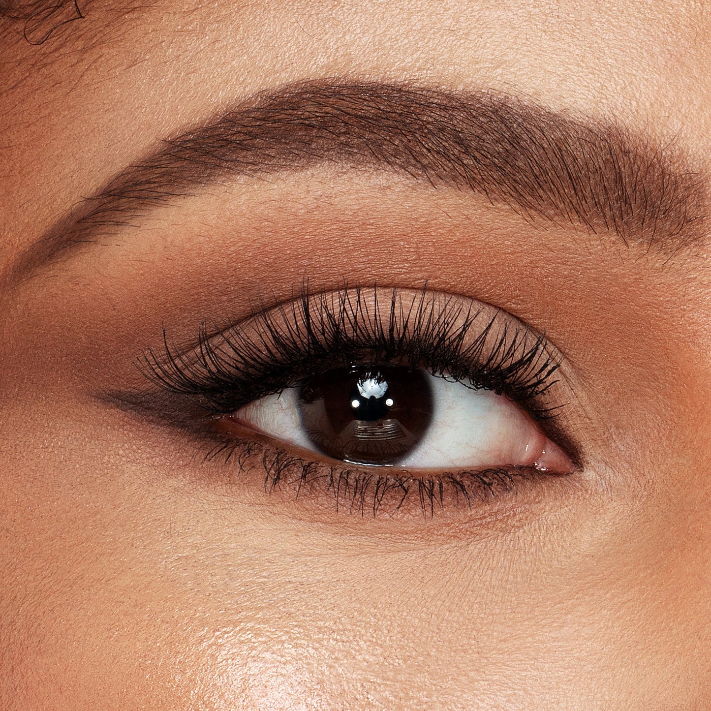 Charlotte Tilbury Brow Lift - Dark Brown