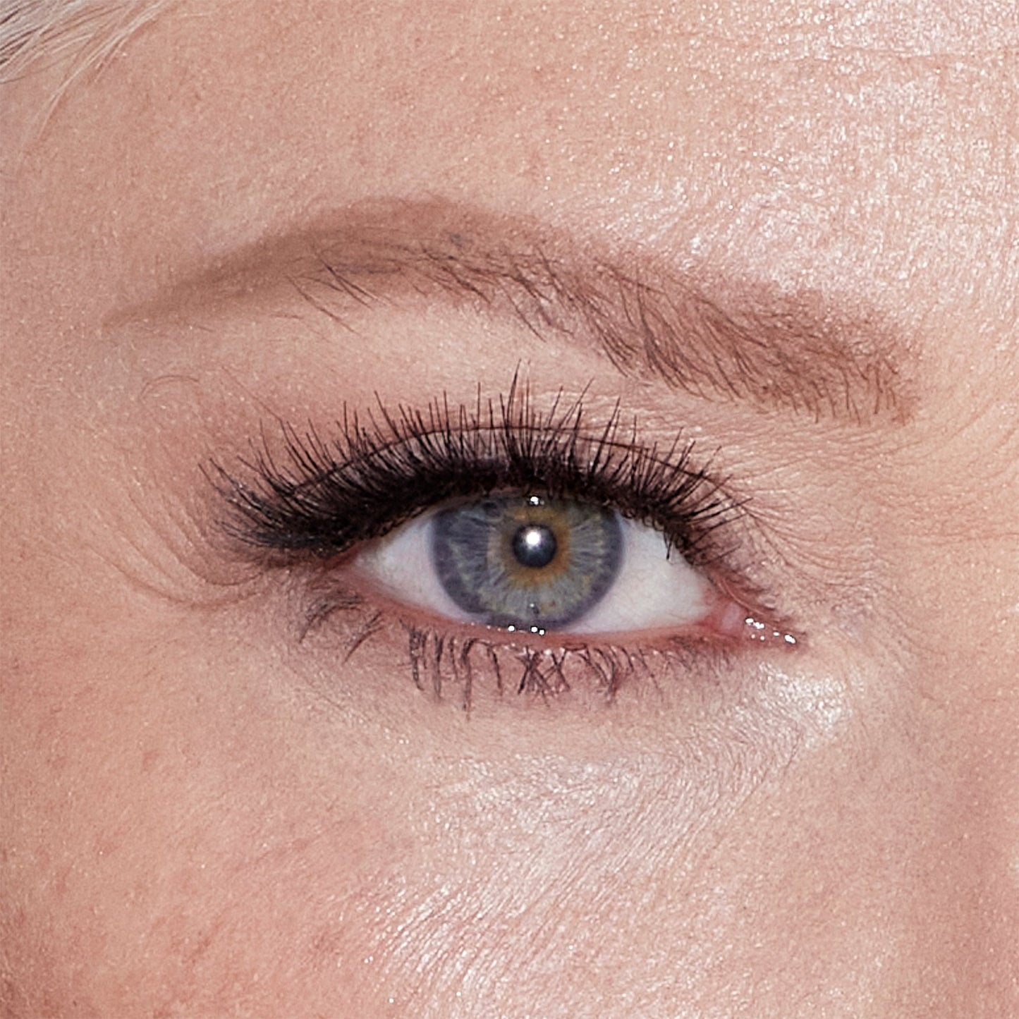 Charlotte Tilbury Brow Cheat Refill - Taupe