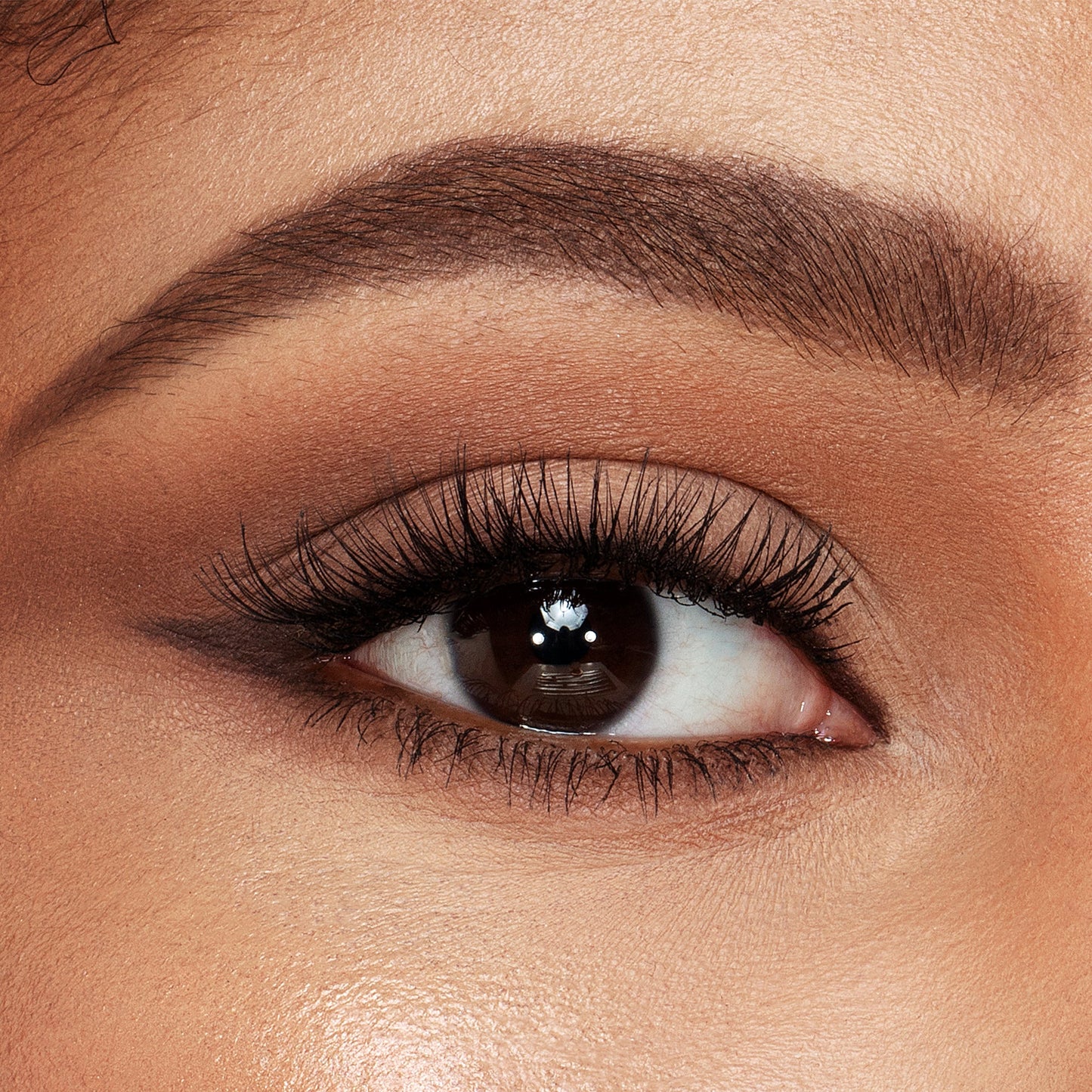 Charlotte Tilbury Brow Cheat Refill - Dark Brown