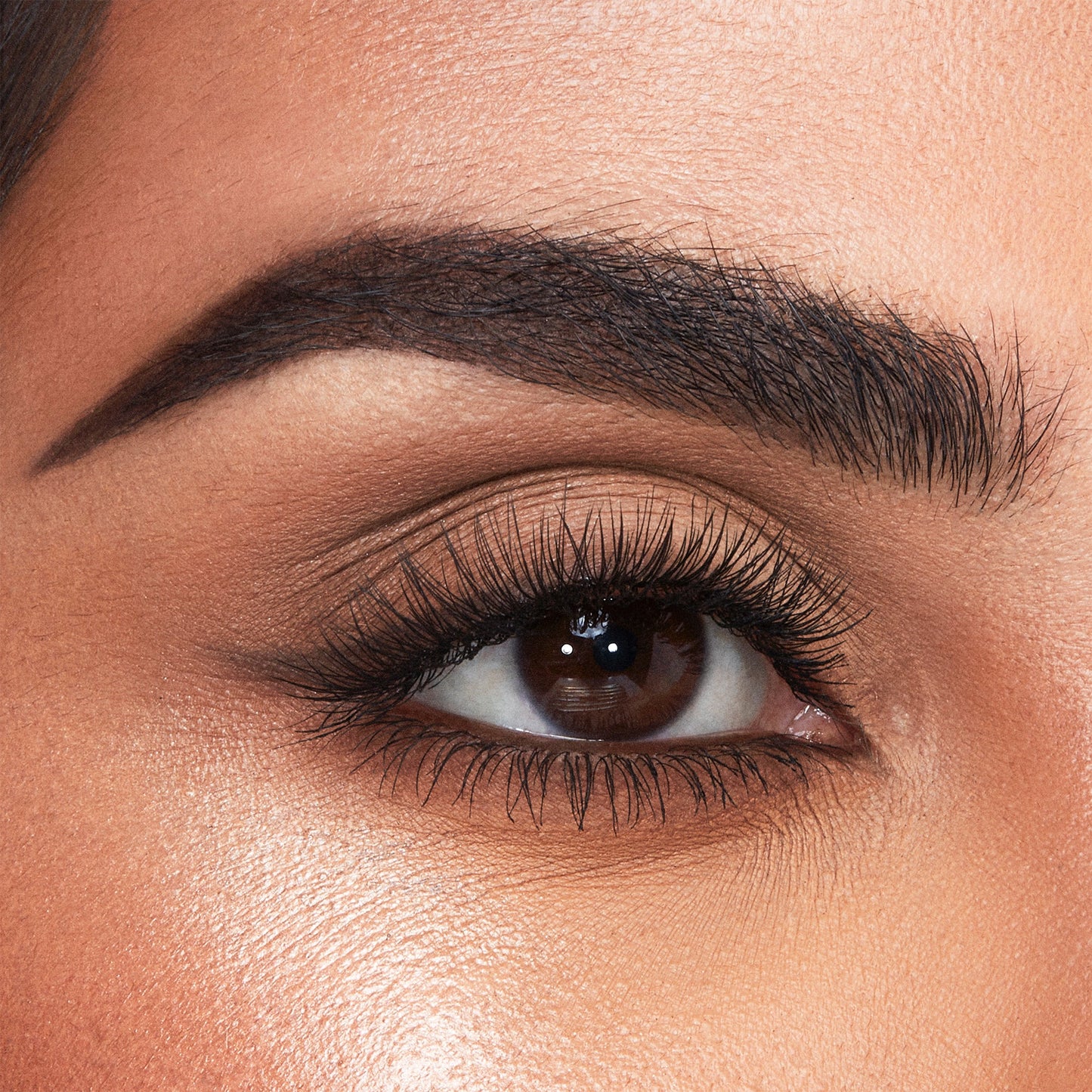 Charlotte Tilbury Brow Cheat Refill - Black Brown