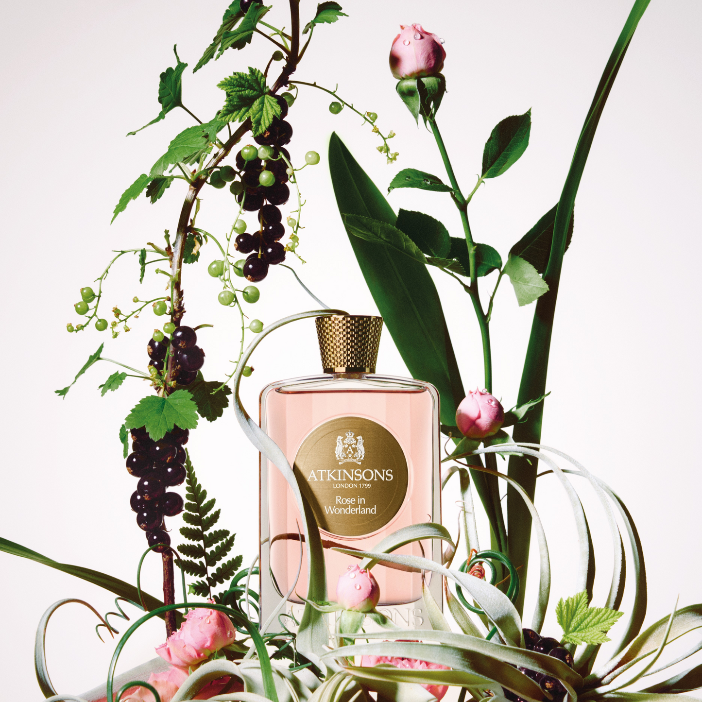 Atkinsons Rose In Wonderland 100 Ml