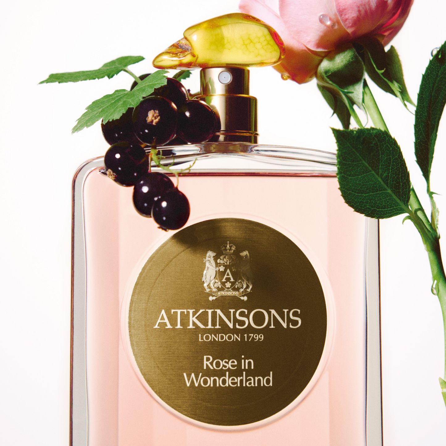 Atkinsons Rose In Wonderland 100 Ml