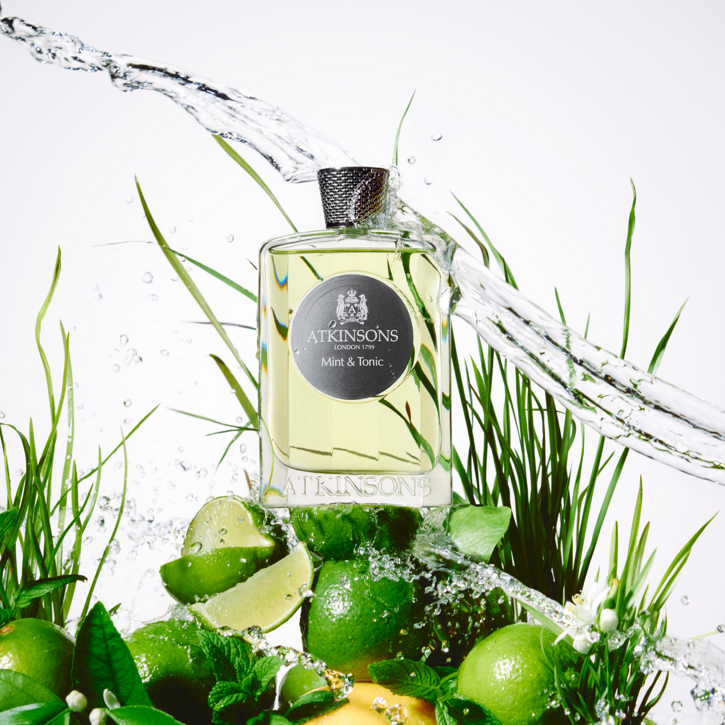 Atkinsons Mint & Tonic 100 Ml
