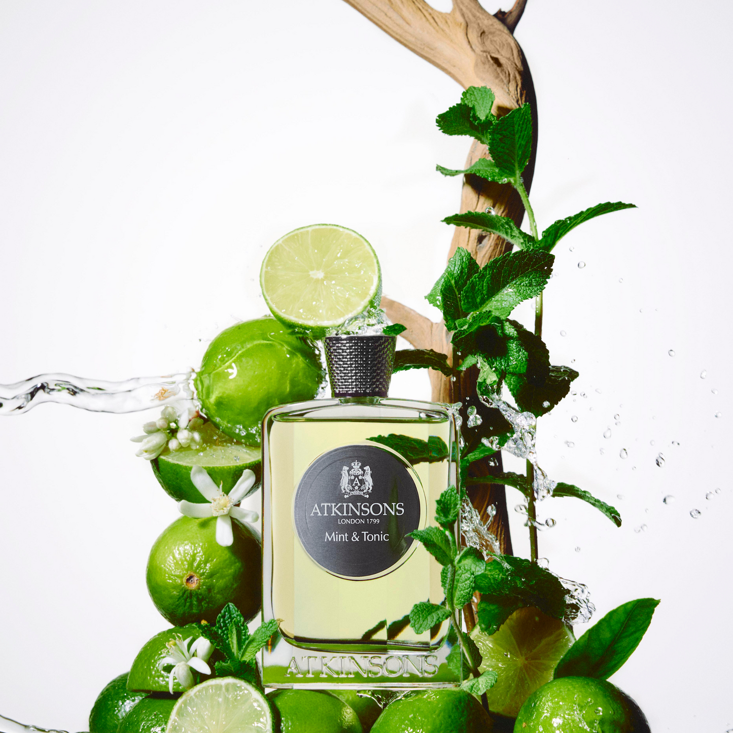 Atkinsons Mint & Tonic 100 Ml