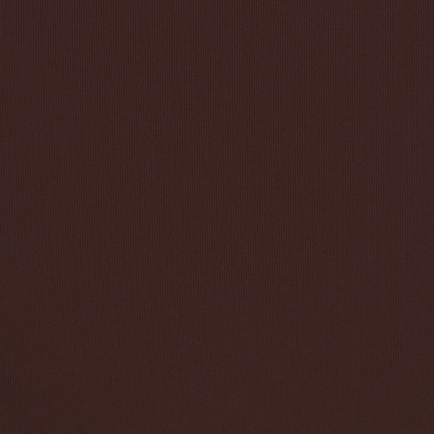 SKIMS Fits Everybody Scoop Bralette